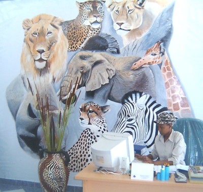 Safaris Online Office Kenya