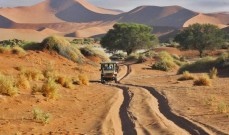 Sossusvlei-Desert-Lodge-on-Namibia-Safari-dunes