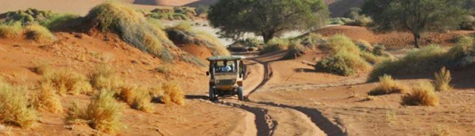 Sossusvlei-Desert-Lodge-on-Namibia-Safari-dunes