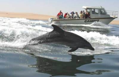 Namibia Safari at Swakopmund - Central Guest House