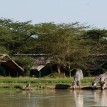 Sweetwaters Tented Camp Watering Hole view