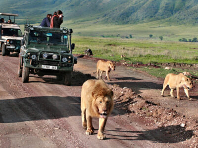 Tanzania Safari