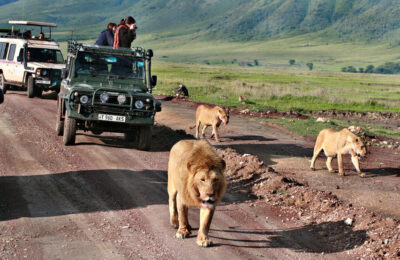 Kenya Safari with Mauritius