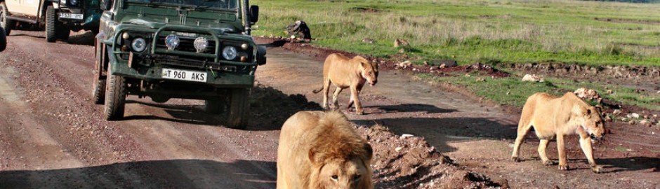 Tanzania Royal Safari