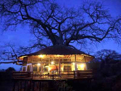 Tarangire Treetops Lodge Tanzania