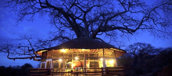 Tarangire Treetops Lodge Tanzania