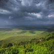 Elewana Tanzania Safari