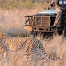 Umkumbe-Safari-Lodge-safari