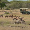 Selous Safari Ras Kutani Beach