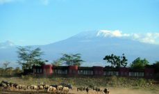 Kenya Safari at Amboseli Serena Lodge