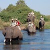 elephant-back-safari-onriver-south-africa