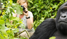 gorilla-trekking-safari