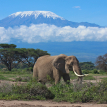 Mount Kilimanjaro Climb