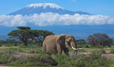 Mount Kilimanjaro Climb