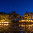 Botswana Safari Focus