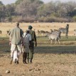 Safari In Zambia and Victoria Falls