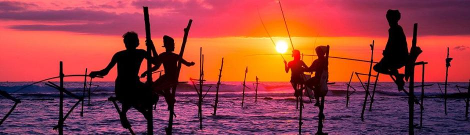 stilt fishing sri lanka