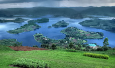 bwindi forest uganda